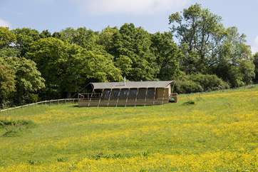 Murciano has great views across the farm and the surrounding countryside.