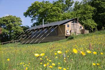 These magnificent tents ae built upon an insulated base, so stay warm and snug.