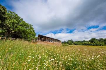 Murciano is the higher of the two luxury safari tents with fabulous views from the deck over the Blackmore Vale.