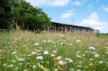 So much space for any amount of fun; picking buttercups, flying a kite or simply seeing how many types of insect you can spot.