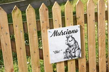 Welcome to Murciano!