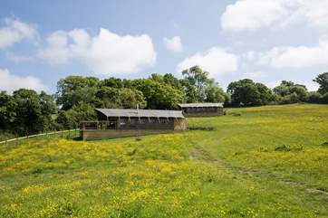 Gascon is the lower of the two safari tents, with great views over the Blackmore Vale from the decking.