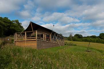 Basking in this large meadow, with far-reaching rural views.