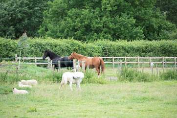 Horses and sheep graze the surrounding fields.