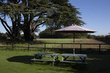 Outside there is a spacious garden perfect for dogs, but please remember to clean up after them so all guests can enjoy the space.