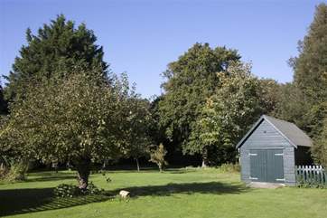 Mature trees and space to breathe.