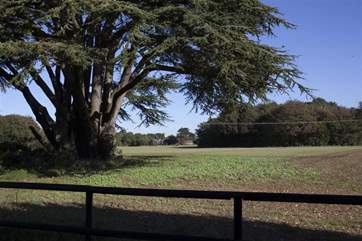 Behind the garden boundary there are more trees and countryside.