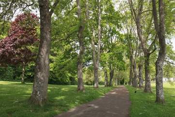 The Manor grounds.
