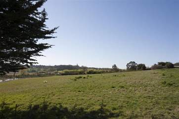 The surrounding area.