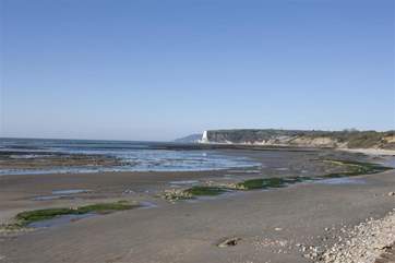 The local beach.