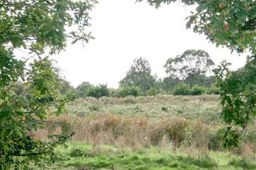 Just a stones throw from the nature reserve
