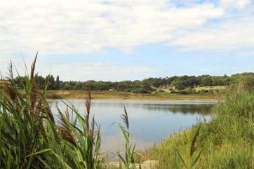 Another view of the nature reserve