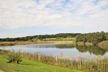If you are lucky you will get to see the ducks and geese wandering around