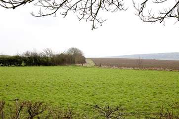 Peaceful views across the fields towards Afton Down (site of the original Isle of Wight Festival in the 1970's)