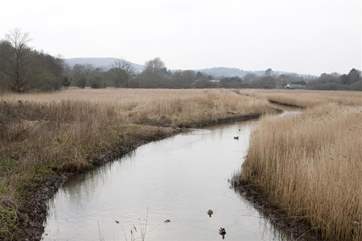 There are some lovely walks or cycle rides along the causeway