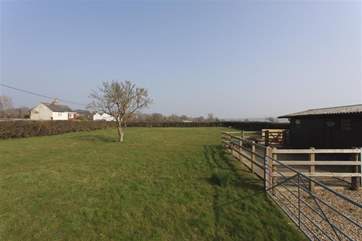 The field behind the property.