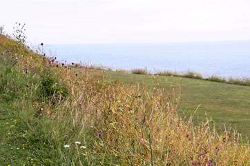 Go for long walks along the coast path.