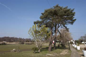 Views of nearby nature reserve