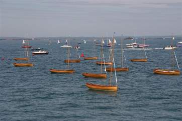 Mermaids, seaview bay