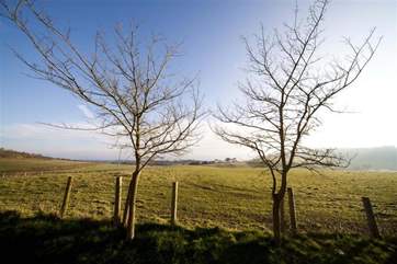Views of surrounding countryside