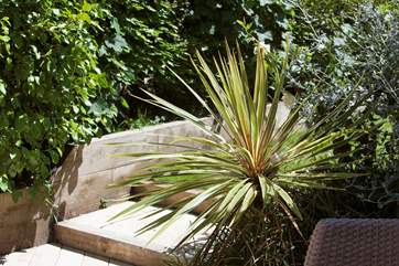 The garden is beautifully maintained.