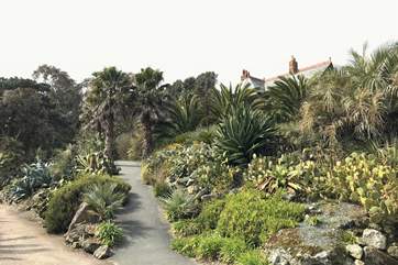 The house is a short walk from the car park and the front door is accessed just beyond the Palm Tree arch