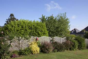 Pretty lawned garden