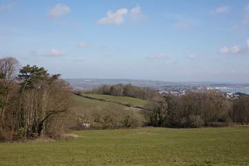 Take a walk across the beautiful Isle of Wight countryside