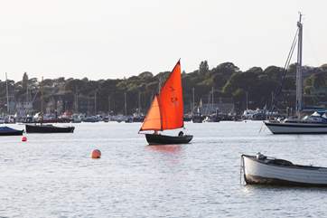 Watch your neighbours to-ing and fro-ing across the harbour.