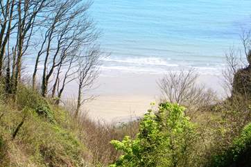 Views from Garden down to Luccombe Beach