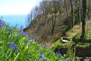 Luccombe Chine