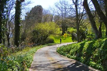 Long private driveway to Luccombe Chine House