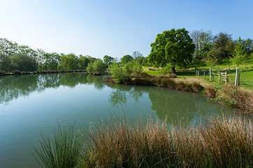 Perfect lake to nestle near to and watch the world go by.