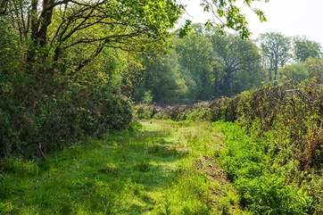 Private access to the Tarka Trail, fabulous!