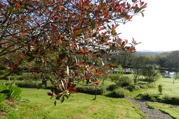 Absolutely stunning views across the grounds.