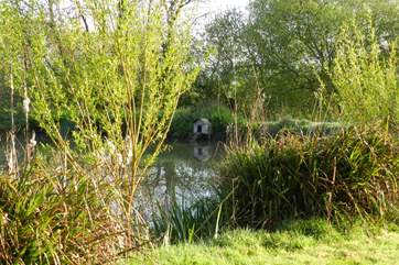 Settling down to picnic in this spot is a real treat.
