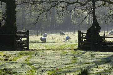 Wildlife and livestock roam freely throughout the grounds.