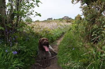 Those of you bringing your four-legged friends will enjoy the great walks right on your doorstep, hopefully with a watering hole en route!