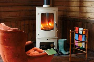 Log burner in living room
