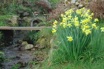 A stream runs through the garden.