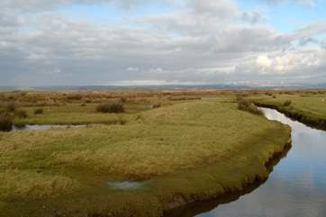 The Burrows is an Area of Outstanding Natural Beauty, a huge expanse of natural habitat, and right on your doorstep. You can simply set out on foot.