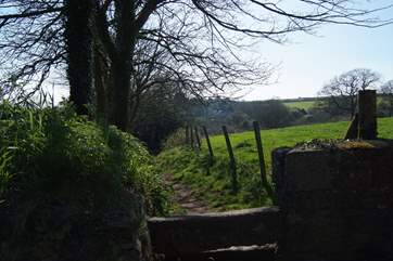 You can find lots of wonderful walks in this beautiful part of Cornwall.