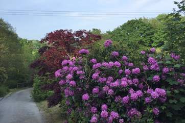 An abundance of colour is ready to greet you (in the right season).