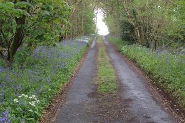 The lane down to the property. A sight for sore eyes after any journey.