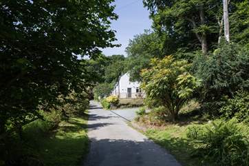 The approach to the cottage via the driveway.