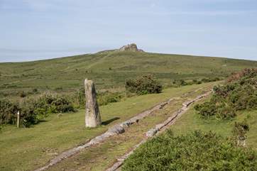 Dartmoor is within a short car drive from Drovers Cottage. Very much worth a day out.