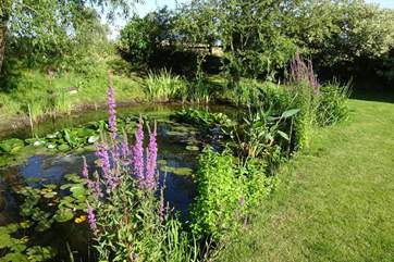 The cottage has a really large, beautifully maintained and private garden with a wildlife pond and different places to sit to make the most of it.