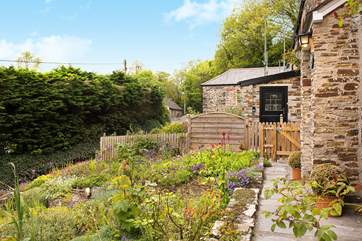 The pretty front garden