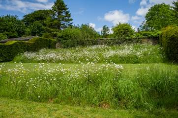 The gardens are absolutely delightful.