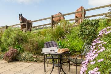 There is a seating area for you behind the barn.